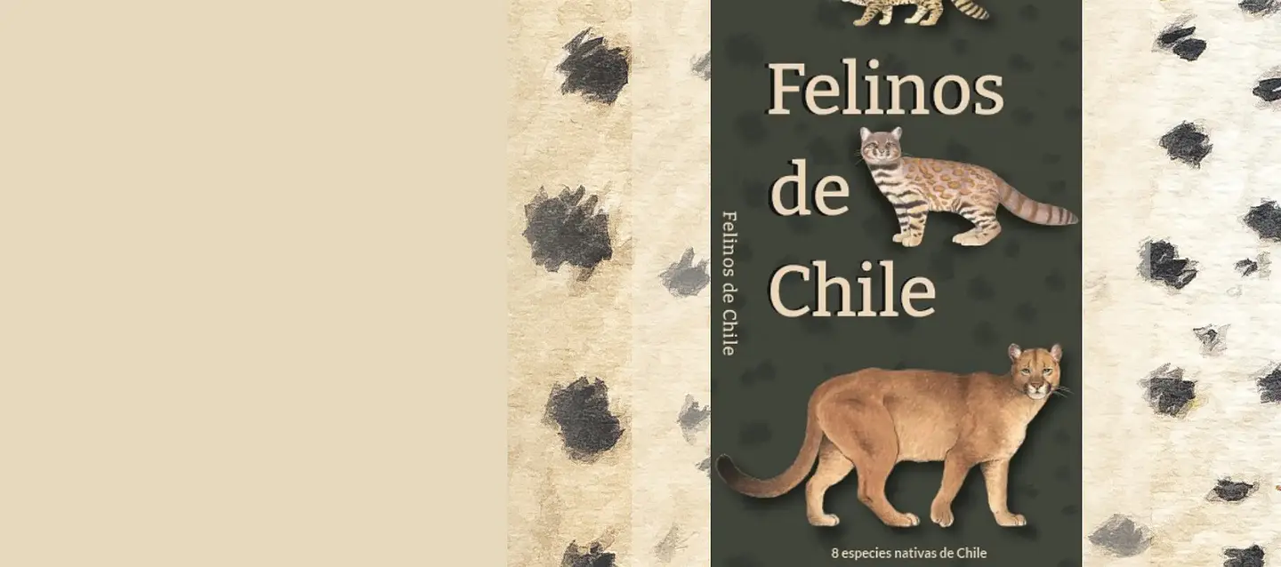 Guía Felinos de Chile, vista para escritorio
