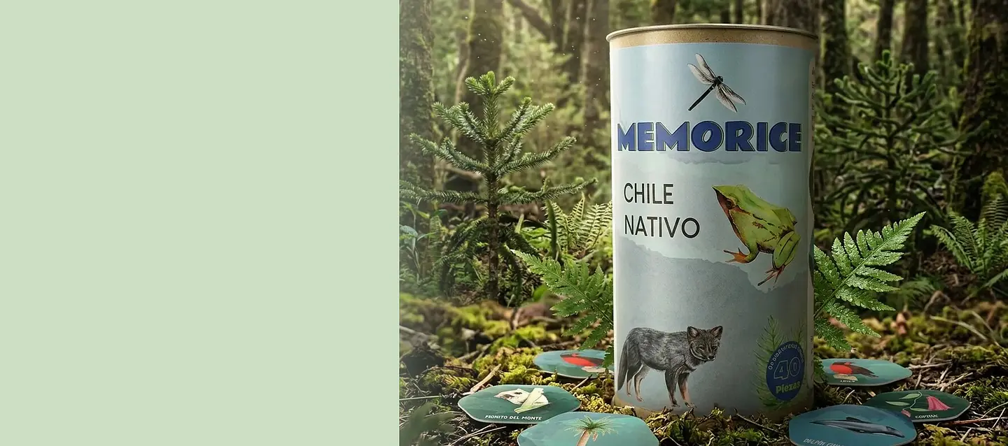 Juego Memorice Chile Nativo de 40 piezas