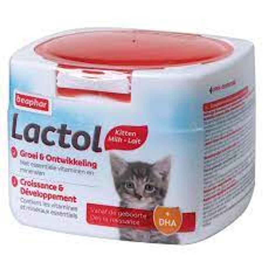 Lactol Gatito 250gr - LACTOL KITTY MILK 250gr- 