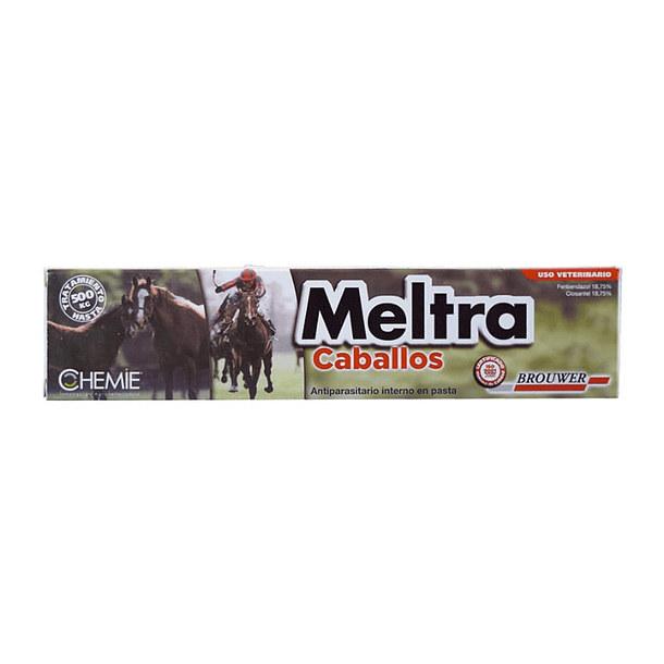 Meltra equinos pasta 20ml