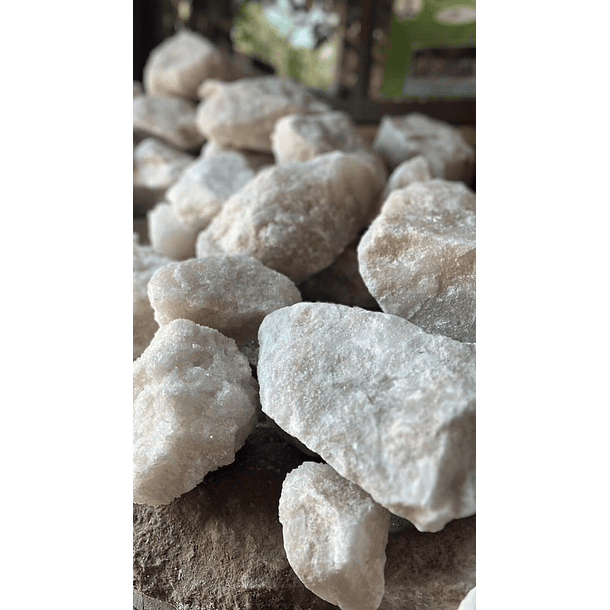 Piedra de sal natural c/u 
