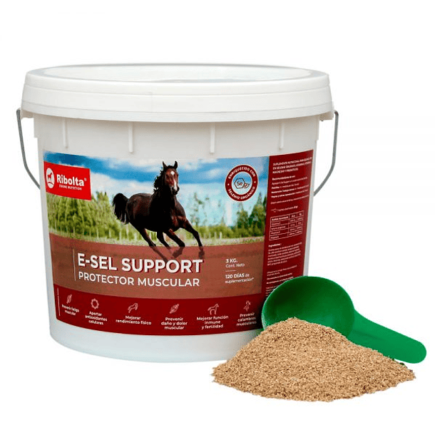 E-sel support 1.6 kg 