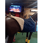 Carpa Para Caballo 5