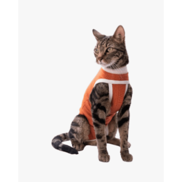 Body de Cobre Post Operatorio consulta talla 2