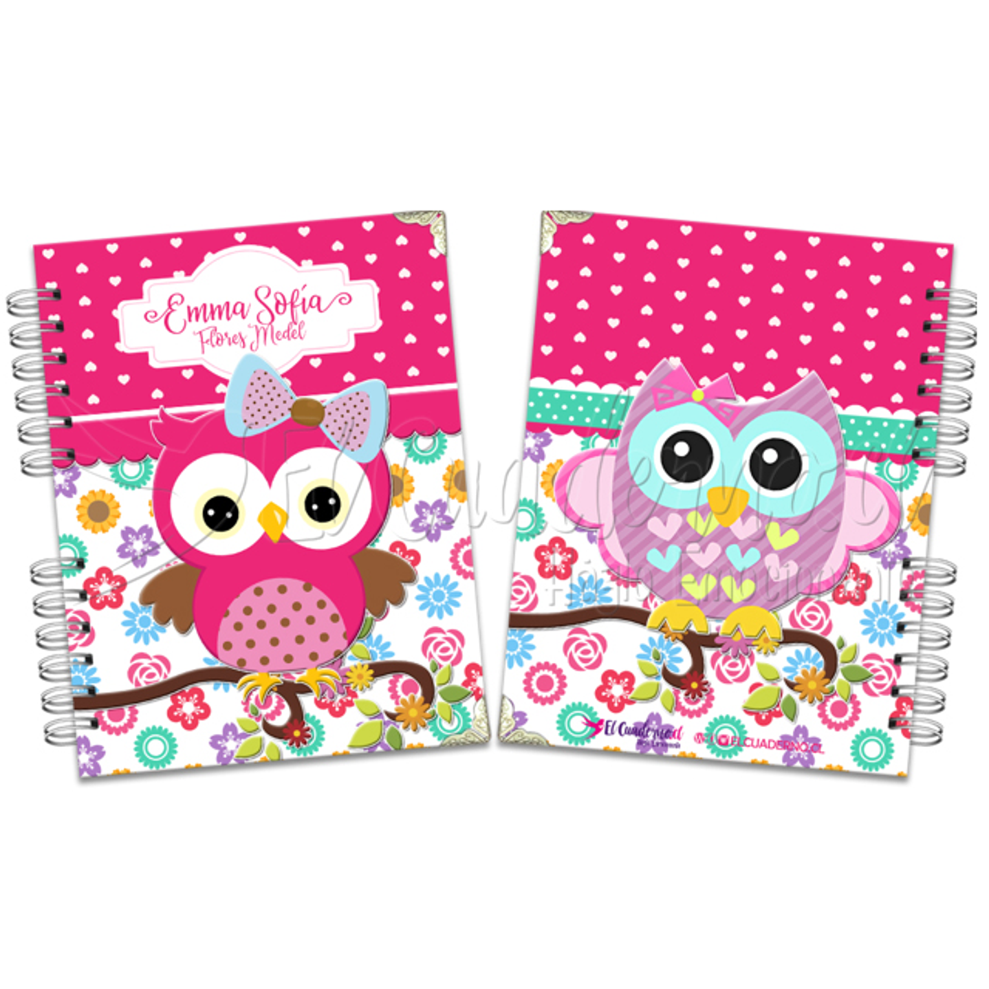 Agenda Pediátrica BHUOS_BABY 1