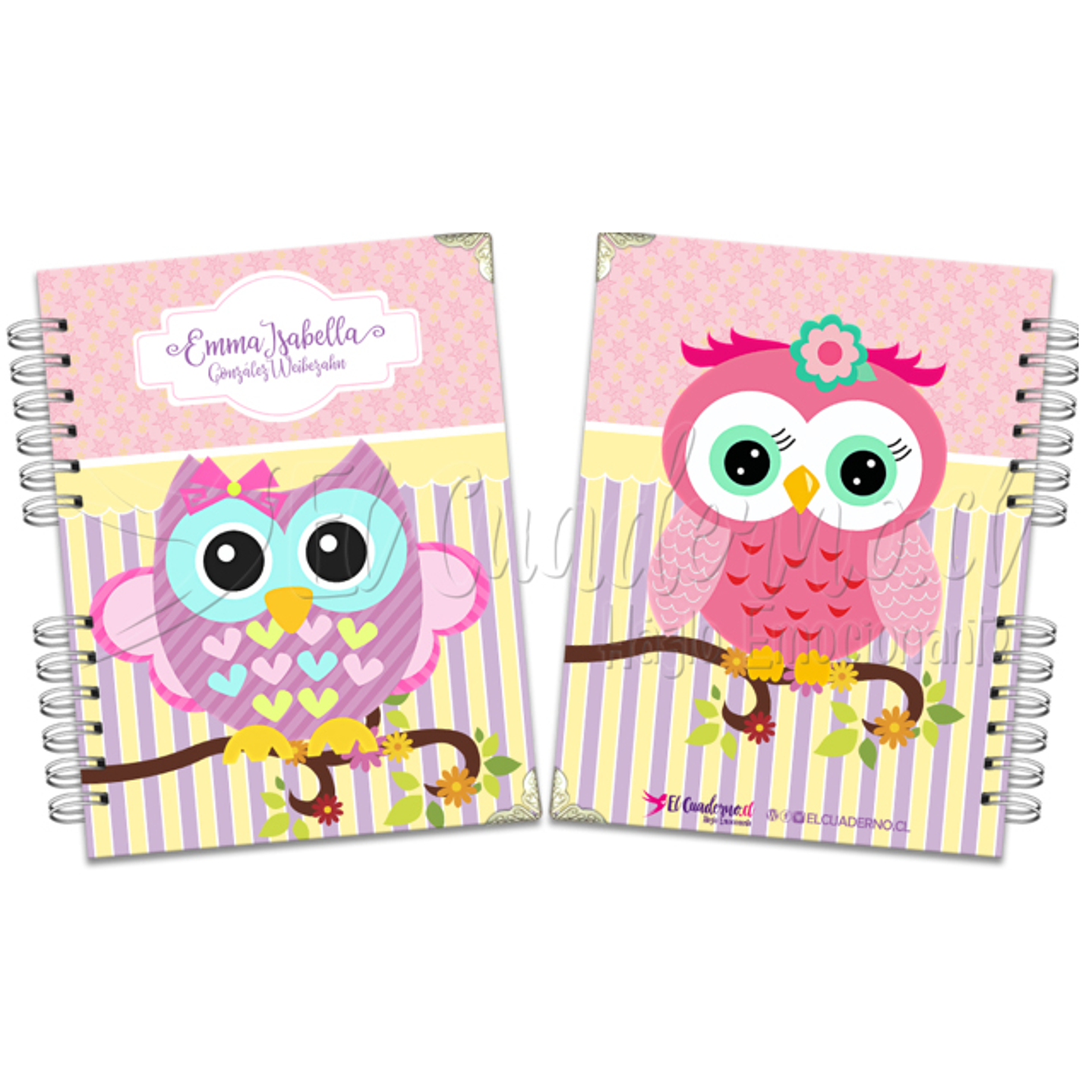 Agenda Pediátrica BHUOS_BABY II 1