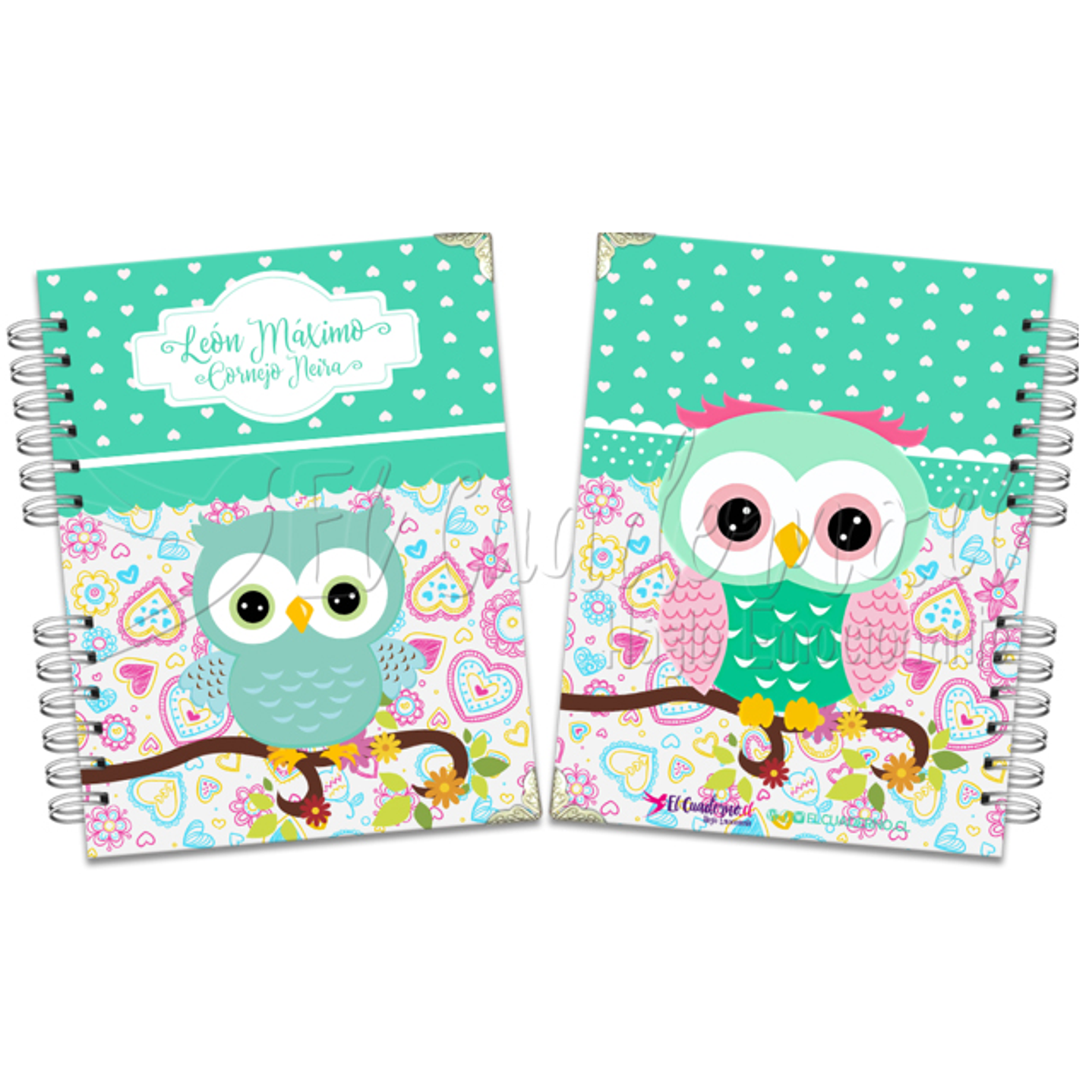 Agenda Pediátrica BHUOS_BABY III 1