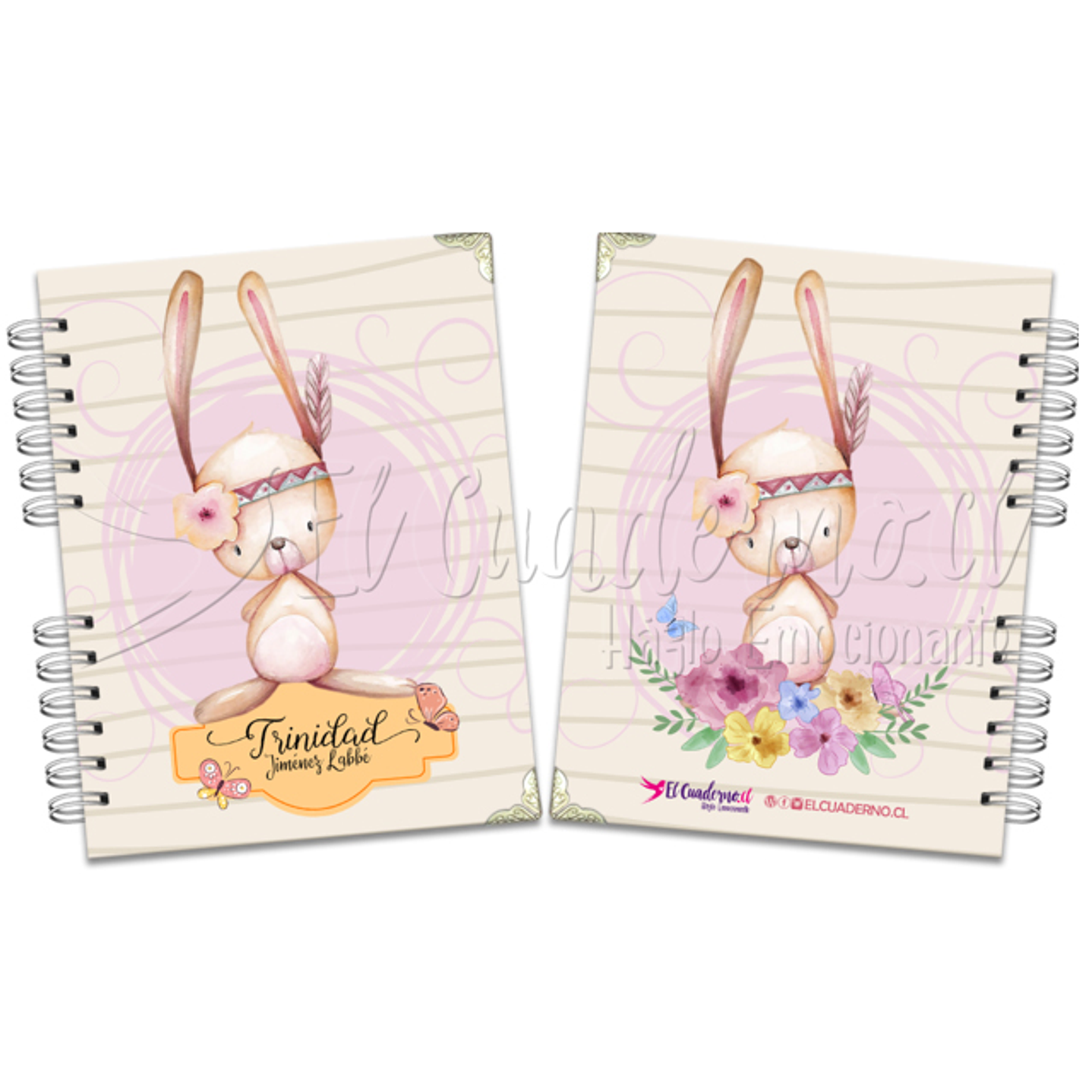 Agenda Pediátrica Baby Rabbit 1