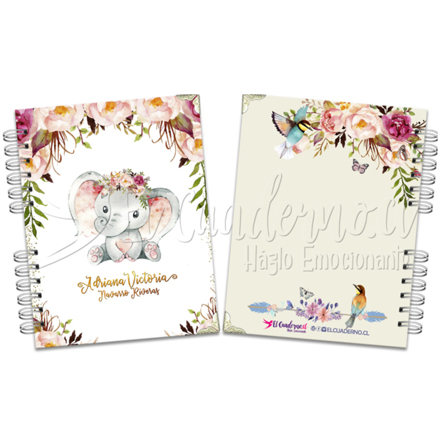 Agenda Pediátrica ELEFANTE_BABY 1