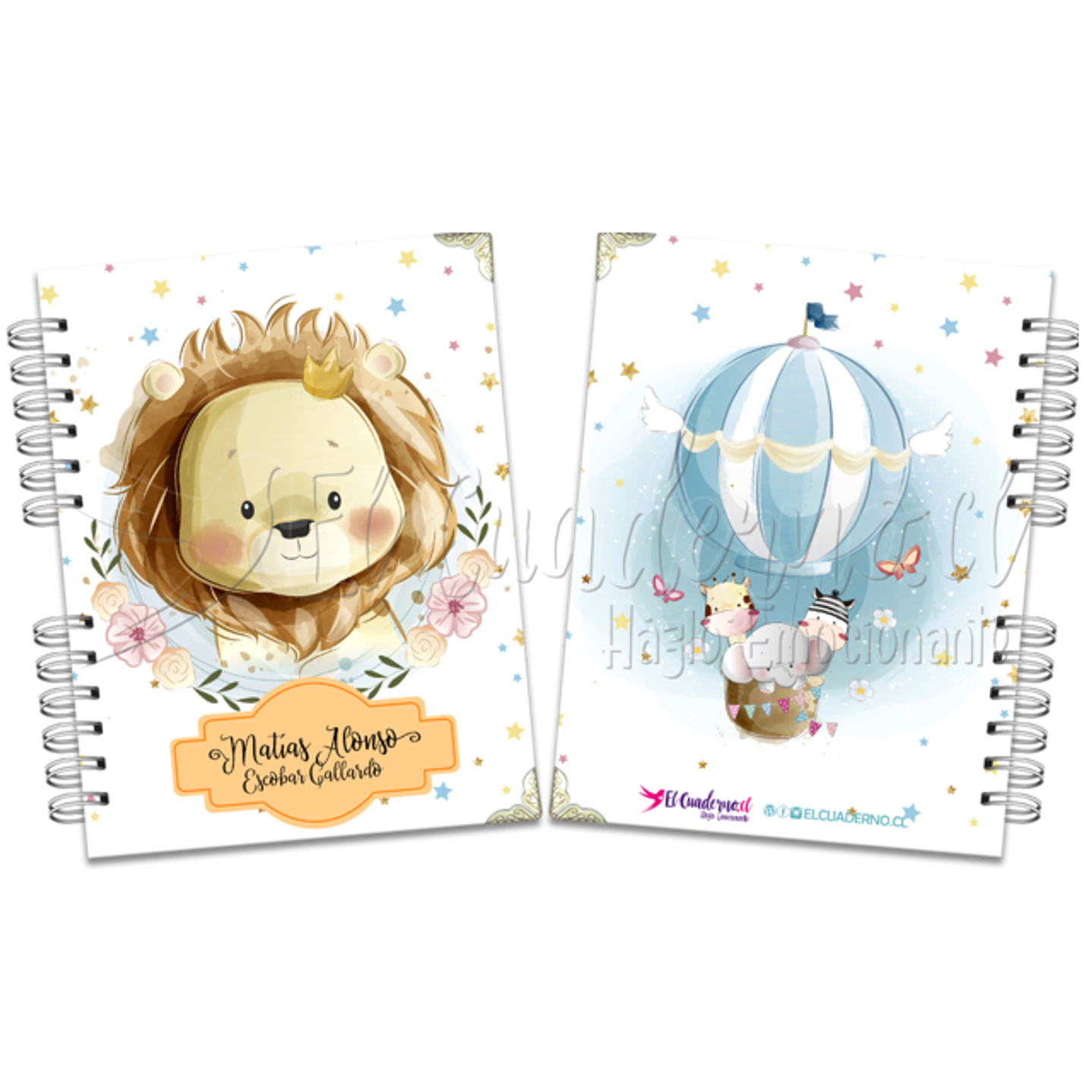 Agenda Pediátrica Baby León II 1