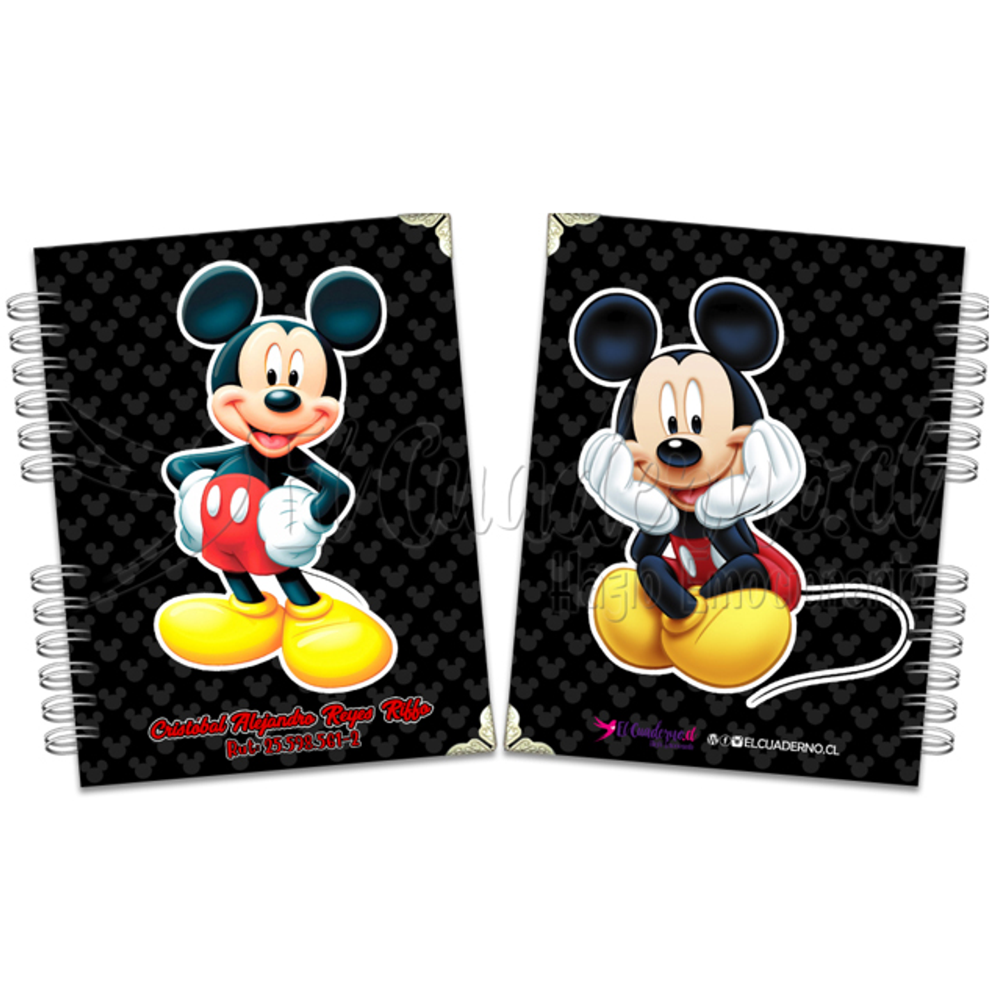 Agenda Pediátrica Mickey 1