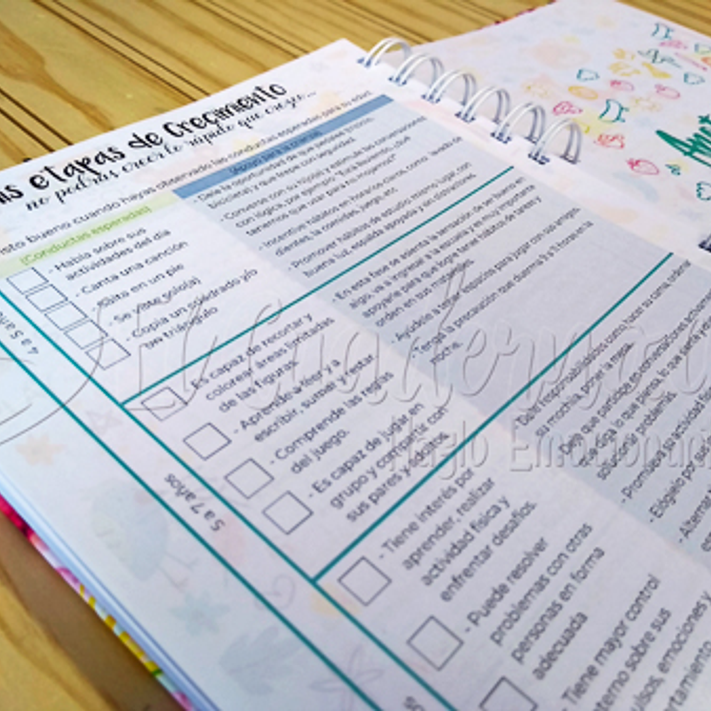 Agenda Pediátrica Butterfly Princess 11