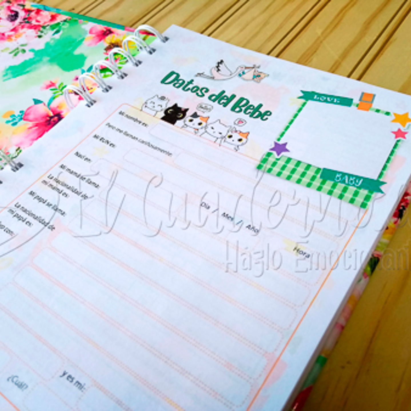 Agenda Pediátrica Hadas 2