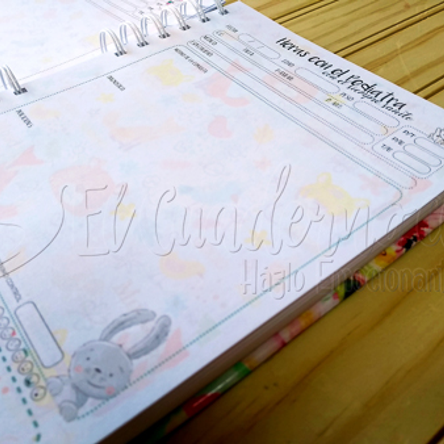 Agenda Pediátrica Minnie Mouse Bebe 5