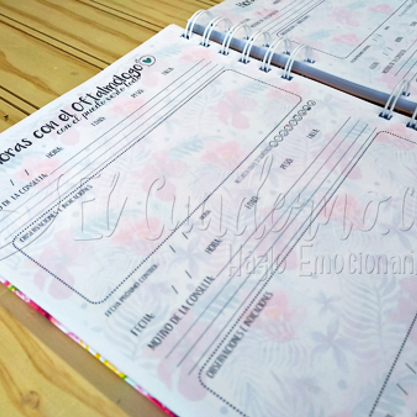 Agenda Pediátrica Pucca 6