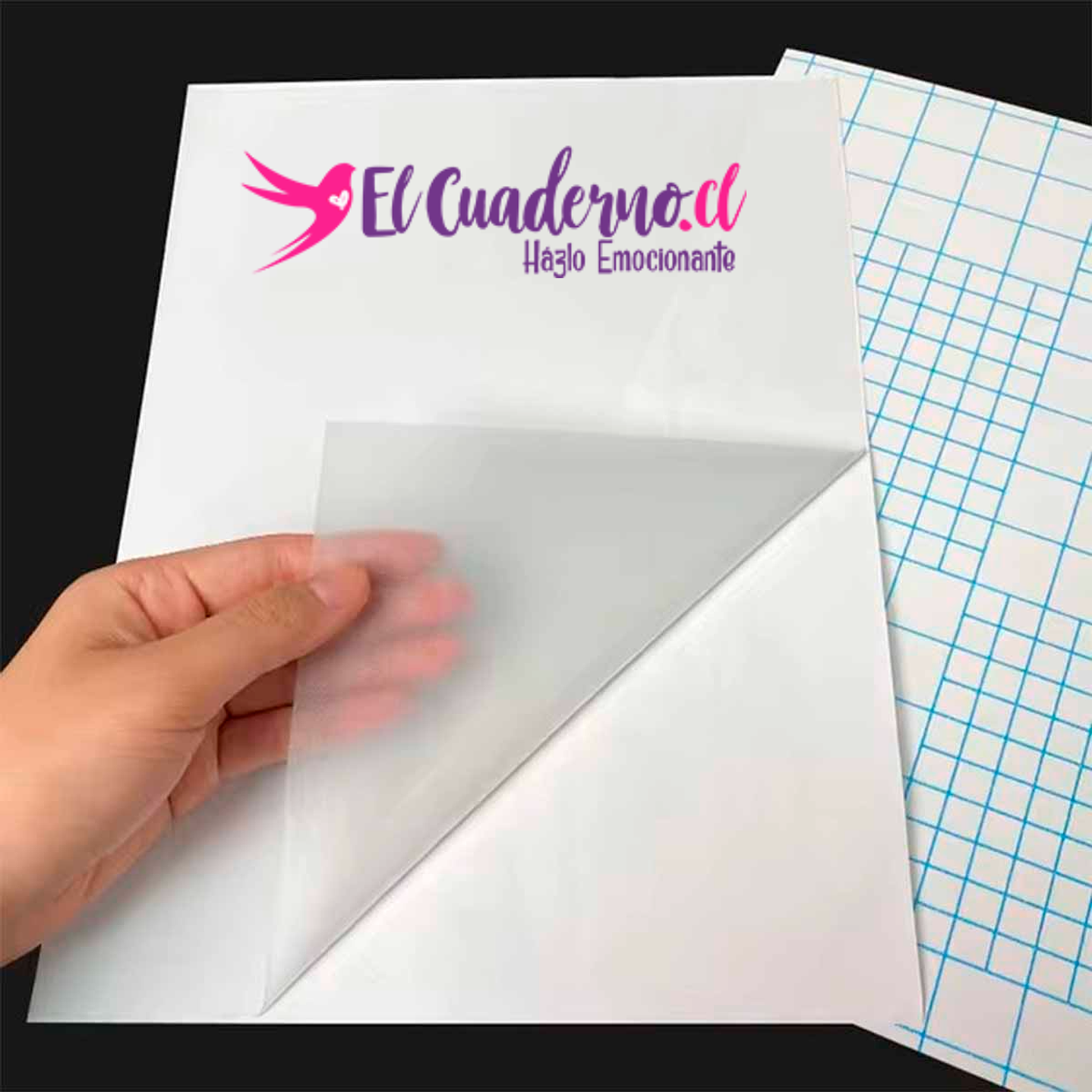 Laminado Holográfico Glitter con Textura, 10 hojas Tamaño A4 3