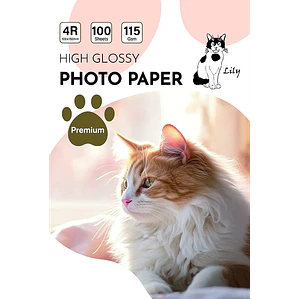 PAPEL PARA FLYER 4R 115GR  10x15 cm)– Pack 100 hojas 