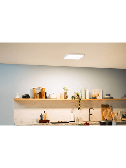 Panel Led Sobrepuesto Cuadrado 18W 6500k DL252 Philips 4