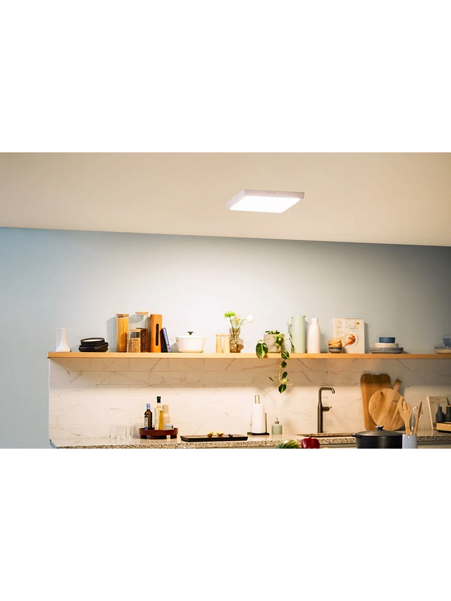 Panel Led Sobrepuesto Cuadrado 18W 6500k DL252 Philips 4