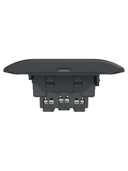 Placa Genesis Doble Toma 10A 2P+T Black Schneider MWD60386 4