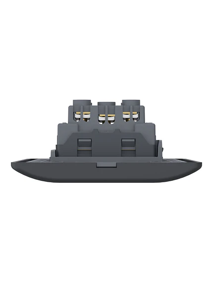Placa Genesis 10/16A + Toma 10A Black Schneider MWD60946 3