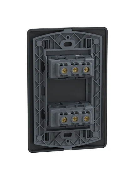 Placa Genesis 10/16A + Toma 10A Black Schneider MWD60946 5