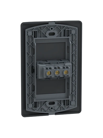 Placa Genesis Toma 10/16A 2P+T Black Schneider MWD60236 6