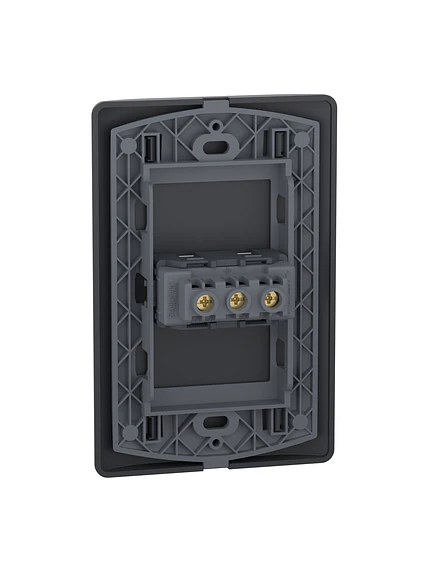 Placa Genesis Toma Simple 10A Black Schneider MWD60296 4