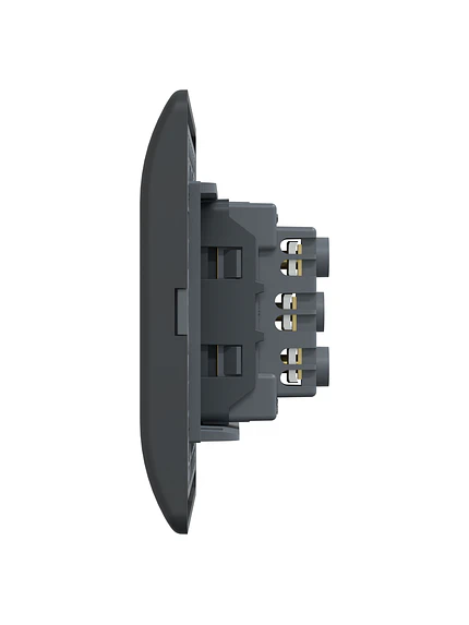 Placa Genesis Toma Simple 10A Black Schneider MWD60296 9