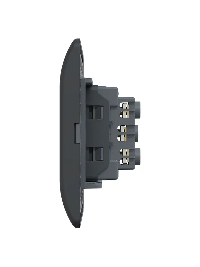 Placa Genesis Toma Simple 10A Black Schneider MWD60296 9