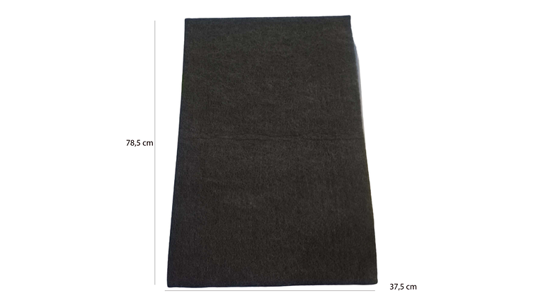 Filtro Carbon Challenger Cx4790 3