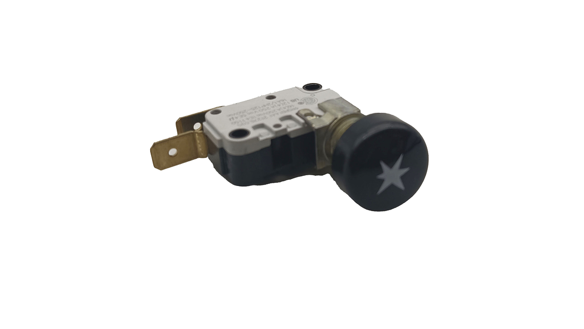 Repuesto Interruptor Encendido Cubierta 2