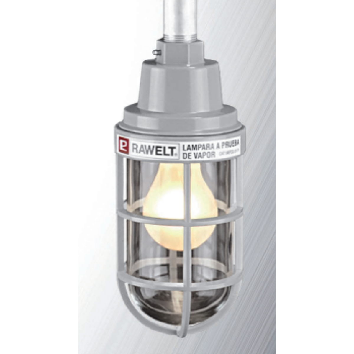 Luminaria industrial intemperie colgante VASCG21 Rawelt