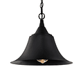 LC507 LED decorative lamp