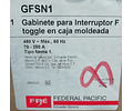 GABINETE MOD. GFSN1 MCA. FEDERAL PACIFIC