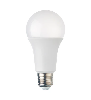 AMPOLLETA LED 15W 12V 6500K E27 WANTING