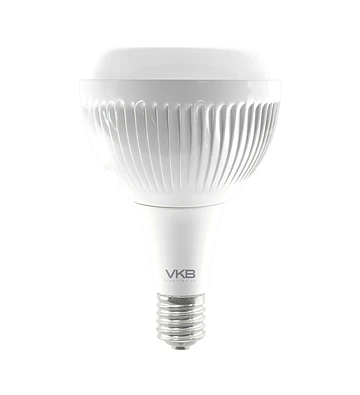 AMPOLLETA LED E40 100W 6500K V180