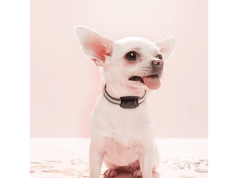 SC-Pet - Localizador GPS para Mascotas con SOS 3