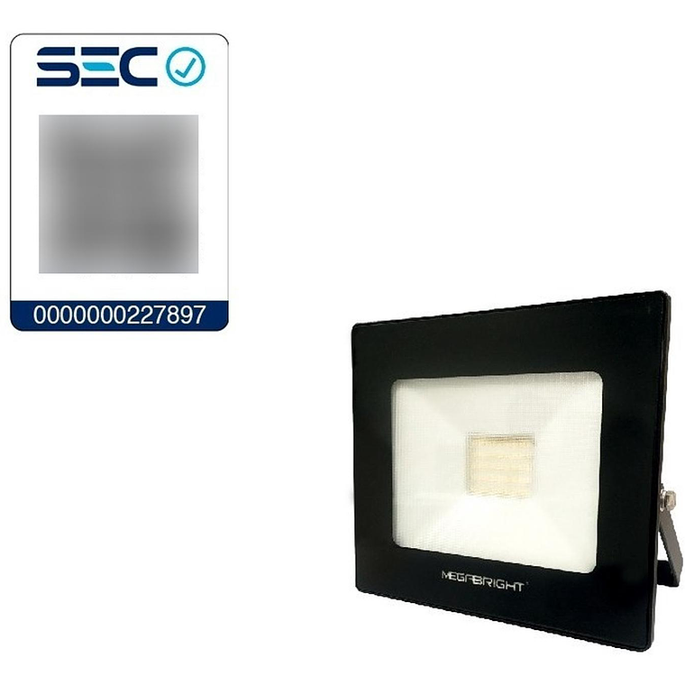 Proyector Led 30w 6000k Megabright Para Exterior 2