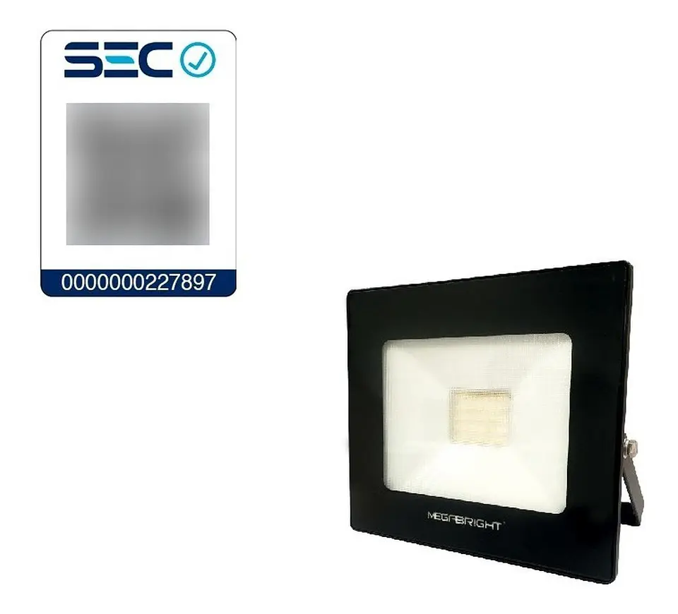 Proyector Led 30w 6000k Megabright Para Exterior 2