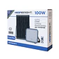 Proyector LED Solar Megabright 100W IP65 6500K Con Panel - Miniatura 5
