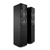 Parlantes Acoustic Energy AE109 Black