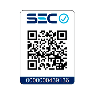 Adaptador de 16A a 10A con Protección Eléctrica 250V 2P+T