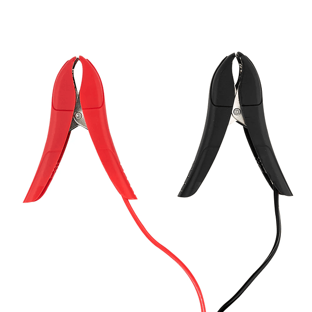 Cargador Inteligente de Baterías 15A – Litio y AGM (6V / 12V 2