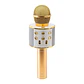 Micrófono Karaoke Con Bluetooth Y Parlante Incorporado - ElectroMundo  - Miniatura 1
