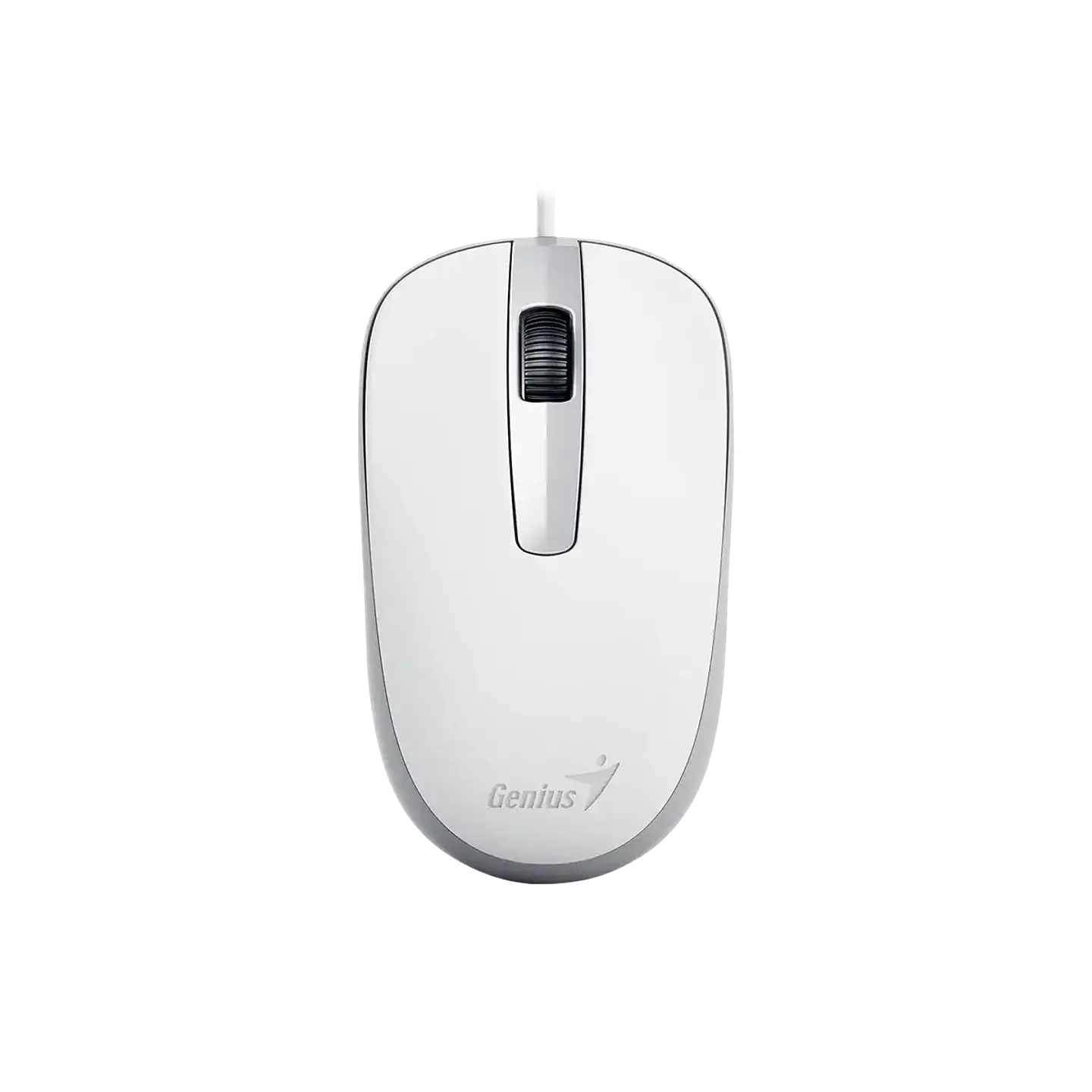 Mouse Genius Cable USB DX-120 1