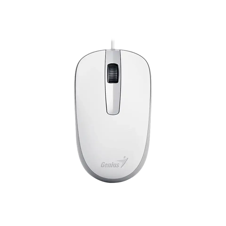 Mouse Genius Cable USB DX-120 1