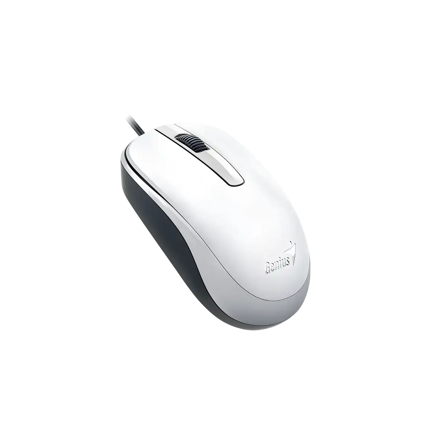 Mouse Genius Cable USB DX-120 2