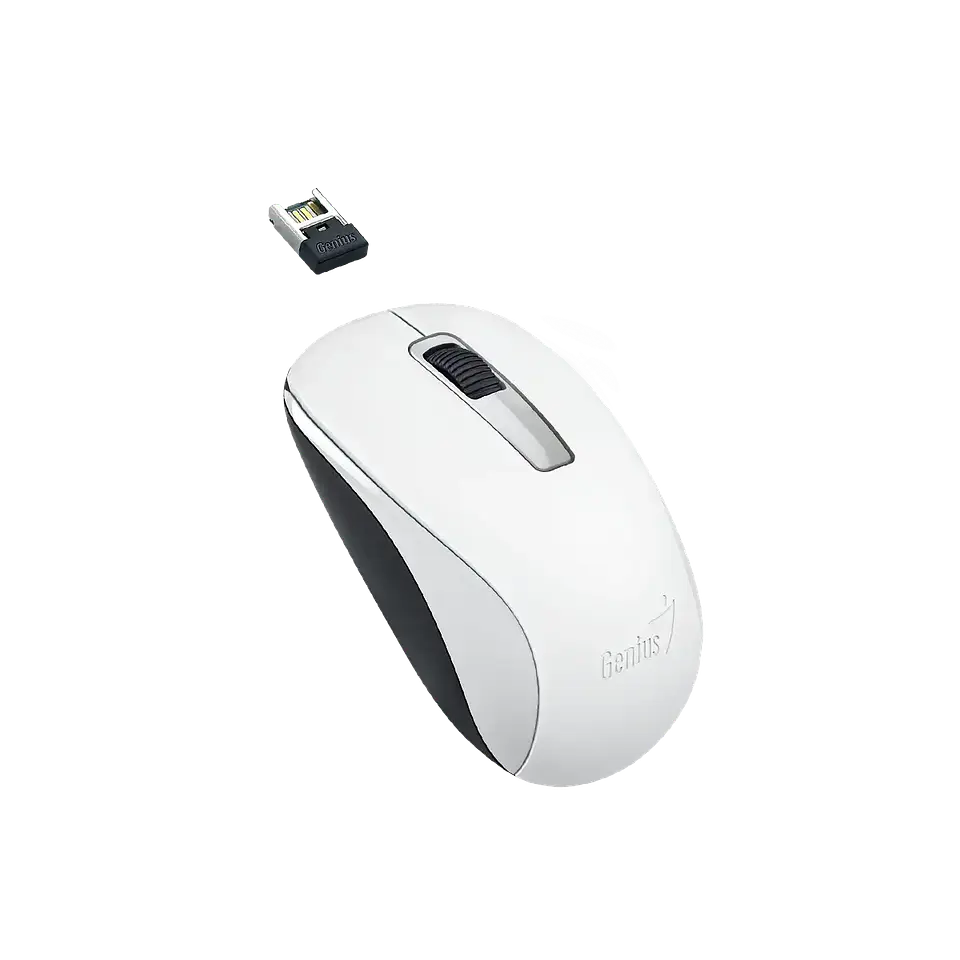 Mouse Genius Inalámbrico NX-7005 2