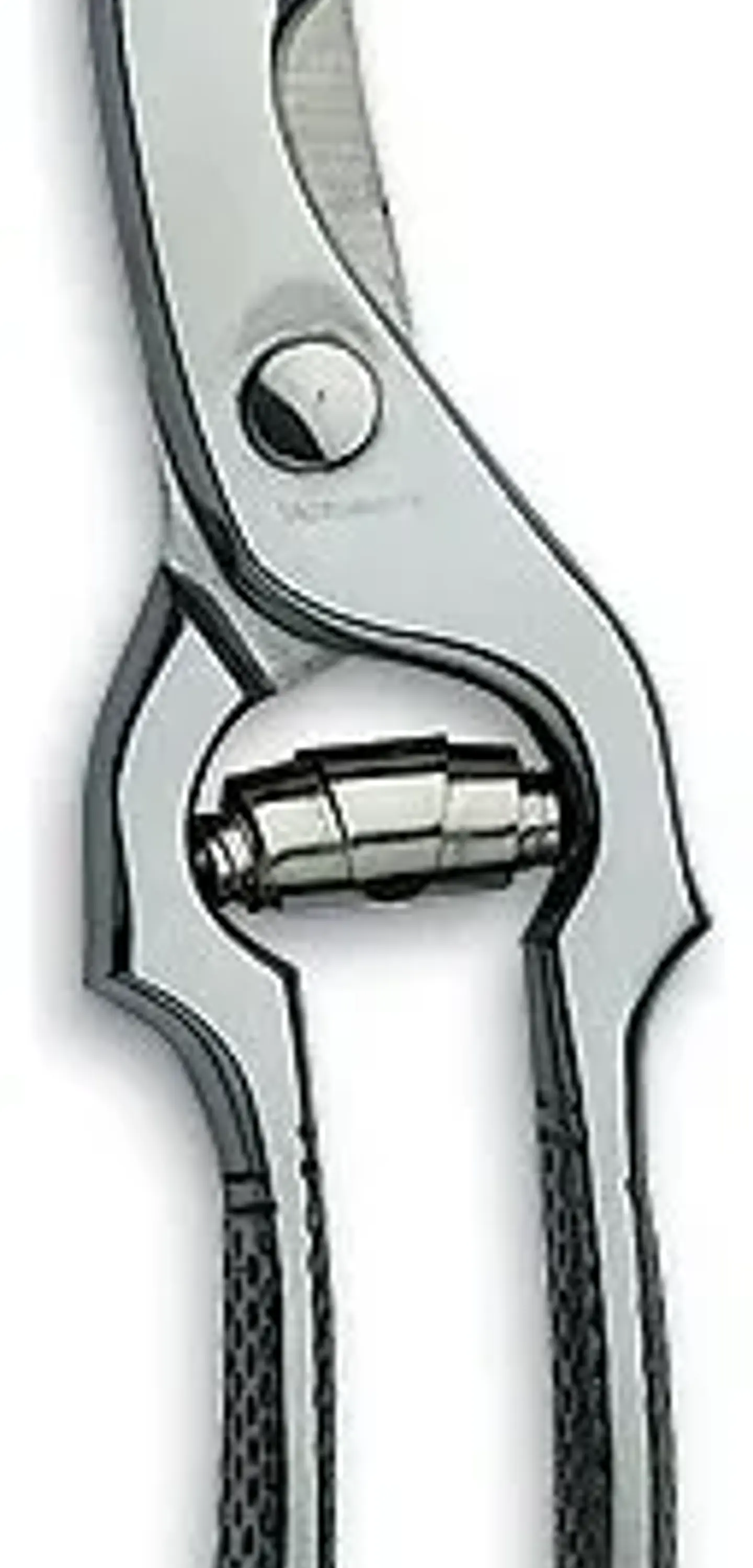 Tijeras De Corte Preciso Victorinox Para Aves, 7.6345 1